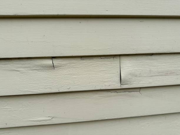 Best Steel Siding Installation  in Mount Plymouth, FL